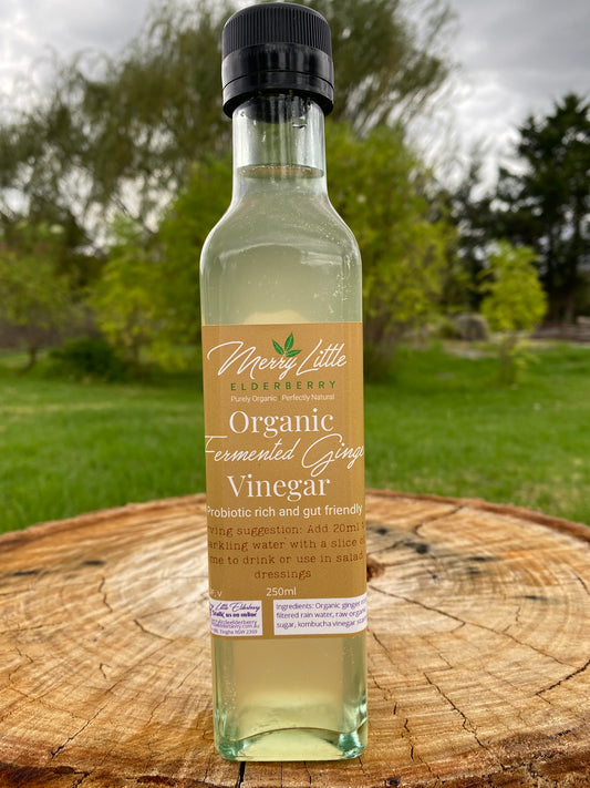 Organic Fermented Ginger Vinegar – 250ml